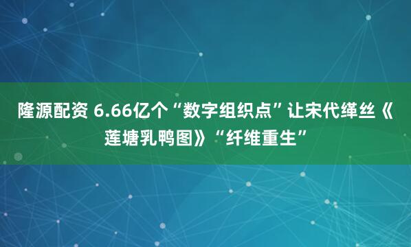 隆源配资 6.66亿个“数字组织点”让宋代缂丝《莲塘乳鸭图》“纤维重生”