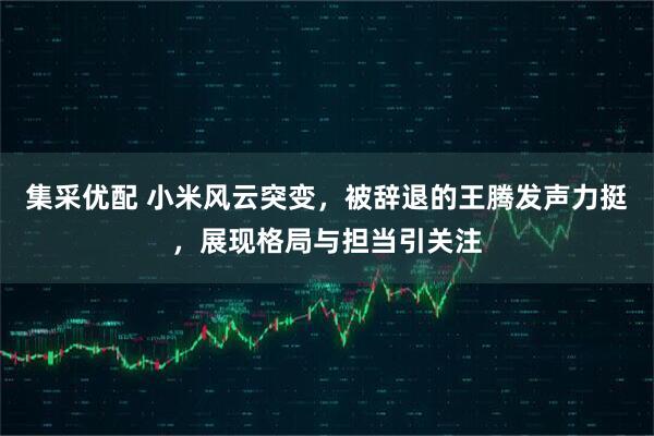 集采优配 小米风云突变，被辞退的王腾发声力挺，展现格局与担当引关注