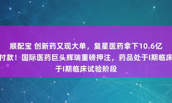顺配宝 创新药又现大单，复星医药拿下10.6亿元里程碑付款！国际医药巨头辉瑞重磅押注，药品处于I期临床试验阶段