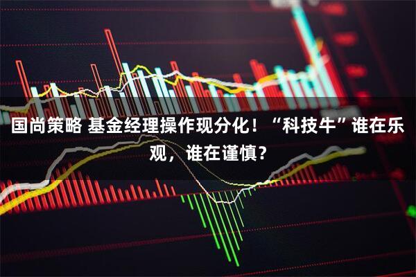 国尚策略 基金经理操作现分化!“科技牛”谁在乐观,谁在谨慎?