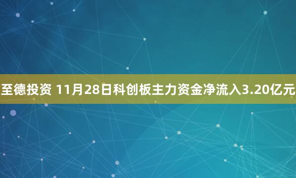 至德投资 11月28日科创板主力资金净流入3.20亿元